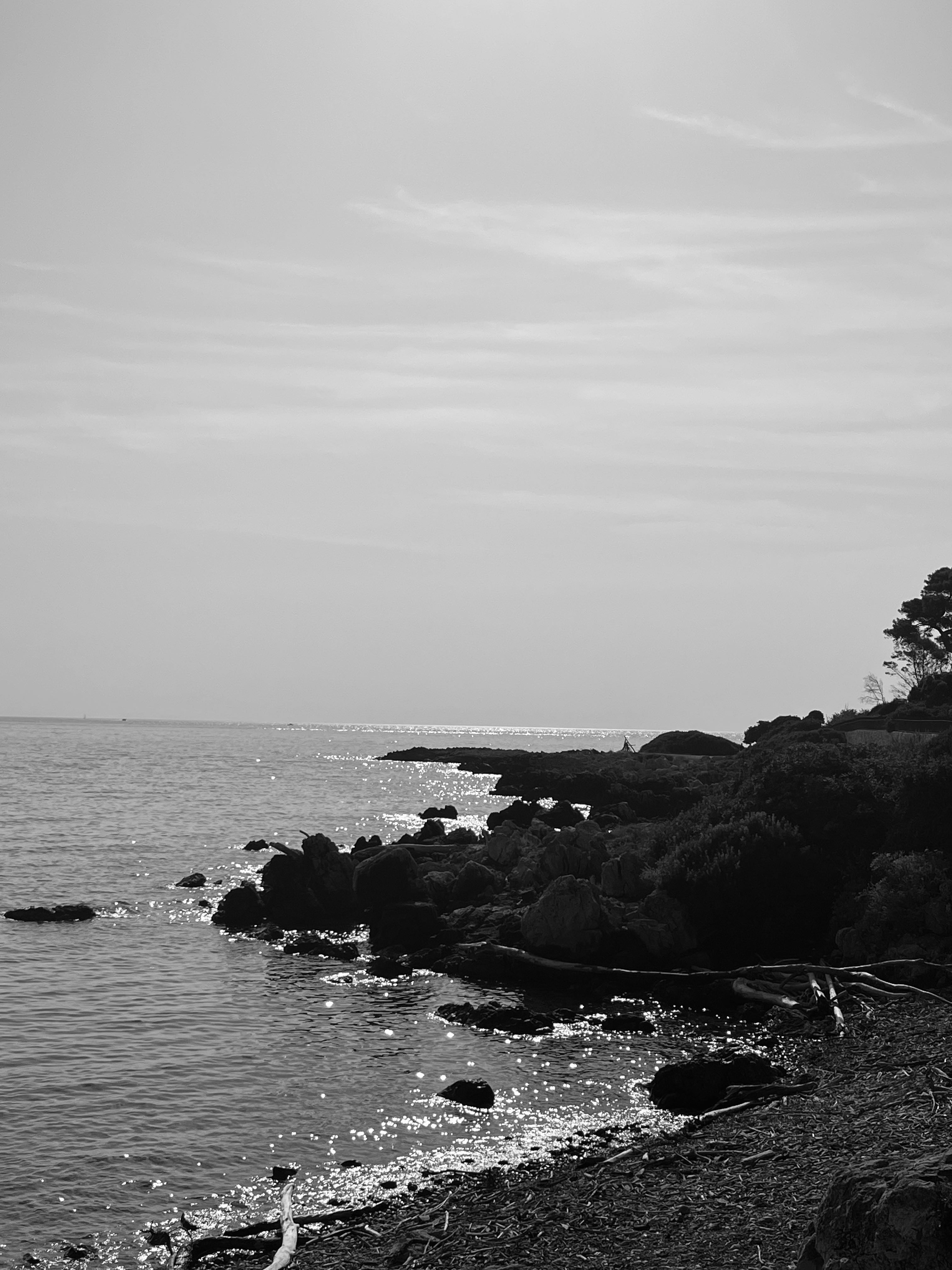IMG_5896 2.jpg__PID:a250cdc8-a9f9-476f-bb36-147304e12fe3